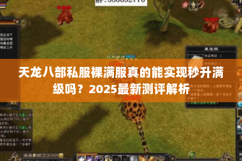 天龙八部私服裸满服真的能实现秒升满级吗？2025最新测评解析