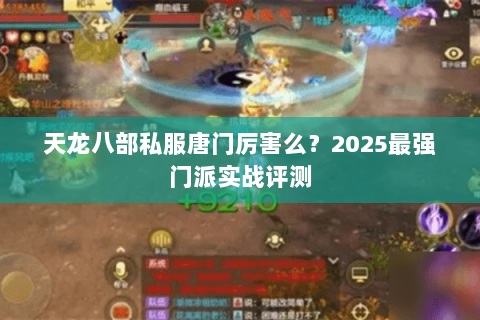 天龙八部私服唐门厉害么？2025最强门派实战评测