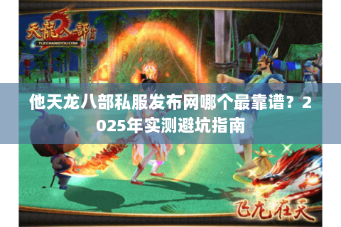 他天龙八部私服发布网哪个最靠谱？2025年实测避坑指南