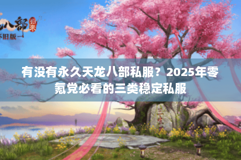 有没有永久天龙八部私服？2025年零氪党必看的三类稳定私服