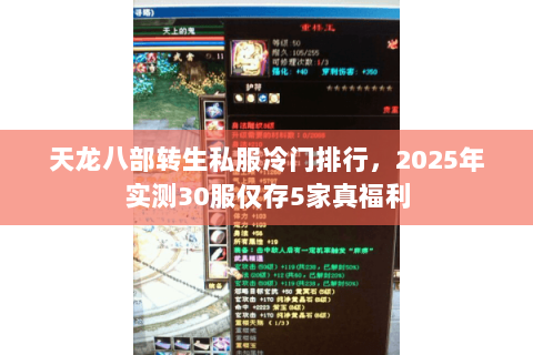 天龙八部转生私服冷门排行，2025年实测30服仅存5家真福利