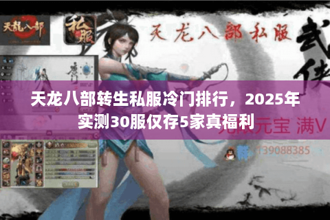 天龙八部转生私服冷门排行，2025年实测30服仅存5家真福利