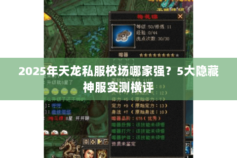 2025年天龙私服校场哪家强?5大隐藏神服实测横评 2025年天龙私服校场哪家强?5大隐藏神服实测横评