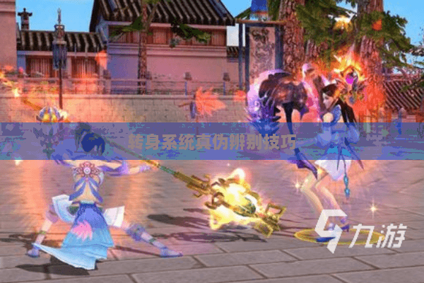 转身系统真伪辨别技巧 转身系统真伪辨别技巧