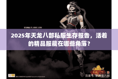 2025年天龙八部私服生存报告,活着的精品服藏在哪些角落? 2025年天龙八部私服生存报告,活着的精品服藏在哪些角落?