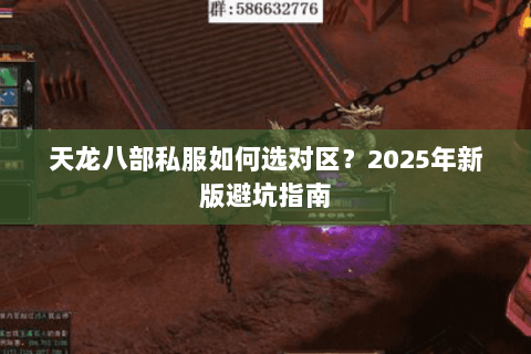 天龙八部私服如何选对区？2025年新版避坑指南