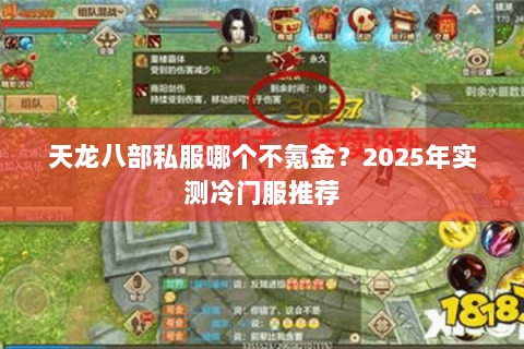 天龙八部私服哪个不氪金？2025年实测冷门服推荐