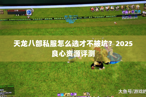 天龙八部私服怎么选才不被坑？2025良心资源评测