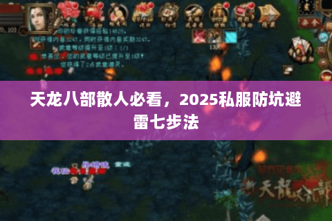 天龙八部散人必看,2025私服防坑避雷七步法 天龙八部散人必看,2025私服防坑避雷七步法
