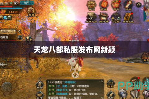天龙八部私服发布网新颖 天龙八部私服发布网新颖