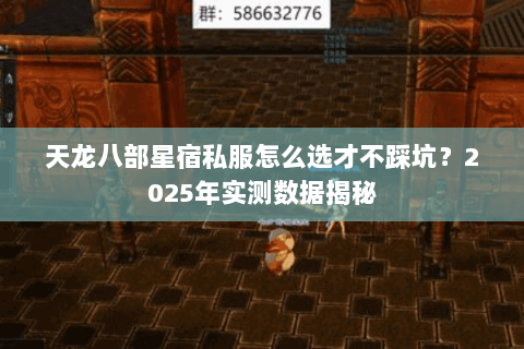 天龙八部星宿私服怎么选才不踩坑？2025年实测数据揭秘