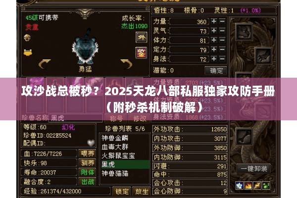 攻沙战总被秒？2025天龙八部私服独家攻防手册（附秒杀机制破解）