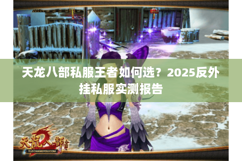 天龙八部私服王者如何选?2025反外挂私服实测报告 天龙八部私服王者如何选?2025反外挂私服实测报告