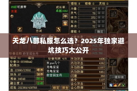 天龙八部私服怎么选?2025年独家避坑技巧大公开 天龙八部私服怎么选?2025年独家避坑技巧大公开