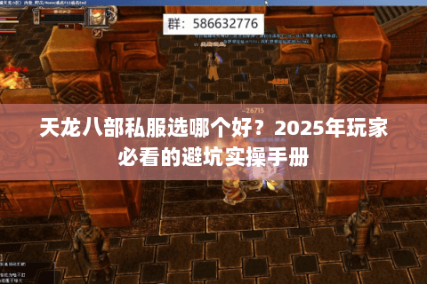 天龙八部私服选哪个好?2025年玩家必看的避坑实操手册 天龙八部私服选哪个好?2025年玩家必看的避坑实操手册