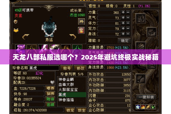 天龙八部私服选哪个？2025年避坑终极实战秘籍