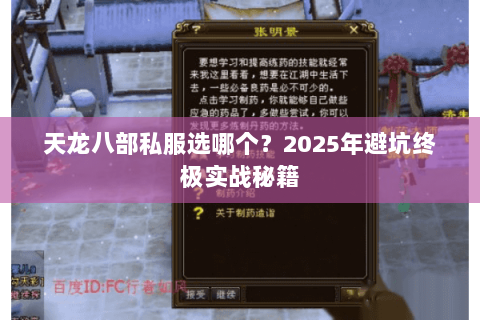 天龙八部私服选哪个？2025年避坑终极实战秘籍