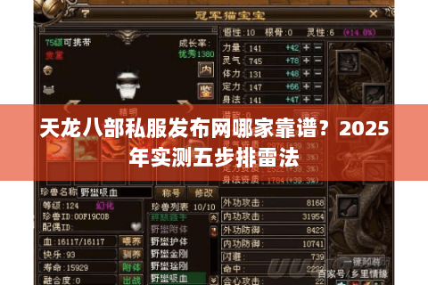 天龙八部私服发布网哪家靠谱?2025年实测五步排雷法 天龙八部私服发布网哪家靠谱?2025年实测五步排雷法