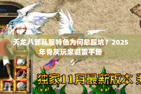 天龙八部私服特色为何总踩坑?2025年骨灰玩家避雷手册 天龙八部私服特色为何总踩坑?2025年骨灰玩家避雷手册