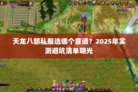 天龙八部私服选哪个靠谱?2025年实测避坑清单曝光 天龙八部私服选哪个靠谱?2025年实测避坑清单曝光