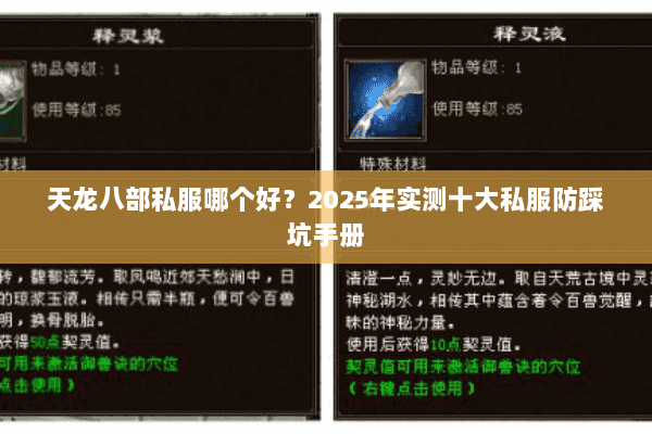 天龙八部私服哪个好？2025年实测十大私服防踩坑手册