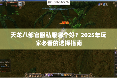 天龙八部官服私服哪个好?2025年玩家必看的选择指南 天龙八部官服私服哪个好?2025年玩家必看的选择指南