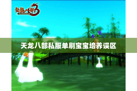 天龙八部私服单刷宝宝培养误区