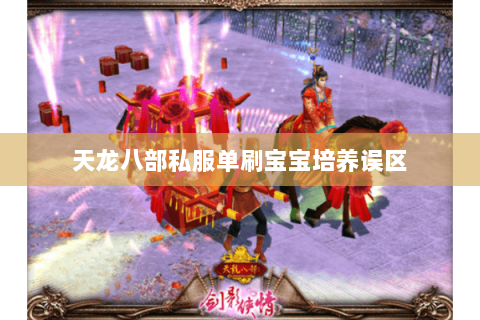 天龙八部私服单刷宝宝培养误区 天龙八部私服单刷宝宝培养误区