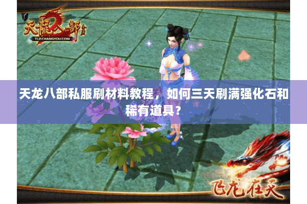 天龙八部私服刷材料教程,如何三天刷满强化石和稀有道具? 天龙八部私服刷材料教程,如何三天刷满强化石和稀有道具?