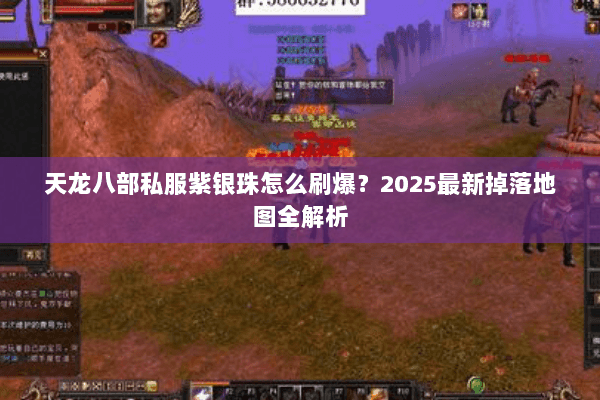 天龙八部私服紫银珠怎么刷爆？2025最新掉落地图全解析
