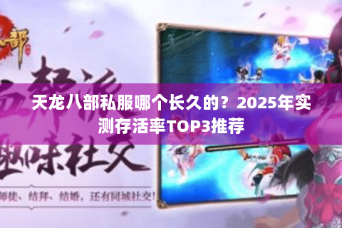 天龙八部私服哪个长久的?2025年实测存活率TOP3推荐 天龙八部私服哪个长久的?2025年实测存活率TOP3推荐