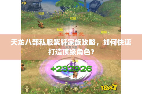 天龙八部私服紫轩家族攻略,如何快速打造顶级角色? 天龙八部私服紫轩家族攻略,如何快速打造顶级角色?