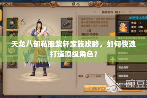 天龙八部私服紫轩家族攻略,如何快速打造顶级角色? 天龙八部私服紫轩家族攻略,如何快速打造顶级角色?