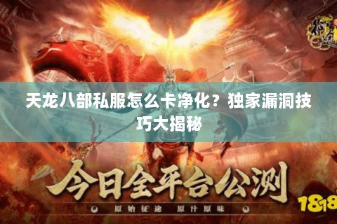 天龙八部私服怎么卡净化?独家漏洞技巧大揭秘 天龙八部私服怎么卡净化?独家漏洞技巧大揭秘