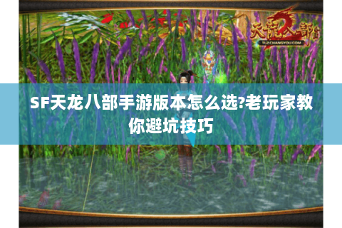 SF天龙八部手游版本怎么选?老玩家教你避坑技巧 SF天龙八部手游版本怎么选?老玩家教你避坑技巧