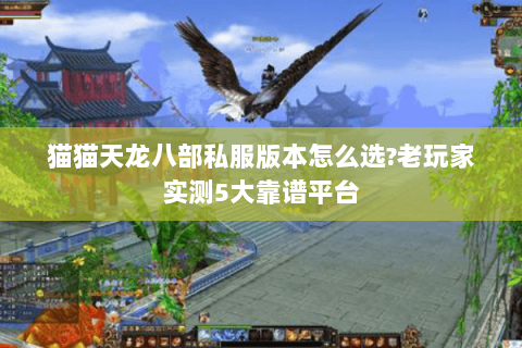 猫猫天龙八部私服版本怎么选?老玩家实测5大靠谱平台