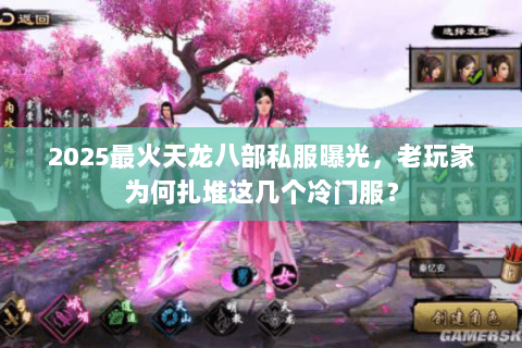 2025最火天龙八部私服曝光,老玩家为何扎堆这几个冷门服? 2025最火天龙八部私服曝光,老玩家为何扎堆这几个冷门服?