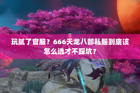 玩腻了官服？666天龙八部私服到底该怎么选才不踩坑？