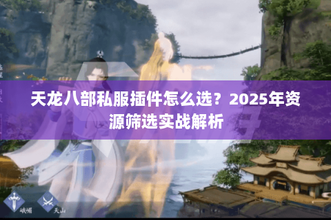 天龙八部私服插件怎么选？2025年资源筛选实战解析