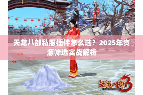 天龙八部私服插件怎么选？2025年资源筛选实战解析