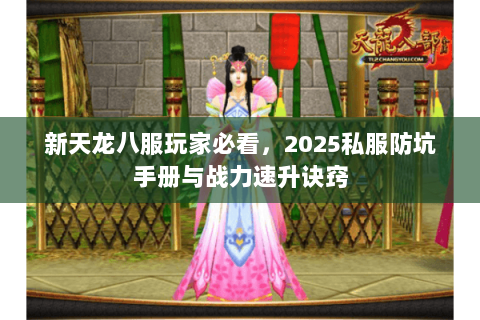 新天龙八服玩家必看，2025私服防坑手册与战力速升诀窍