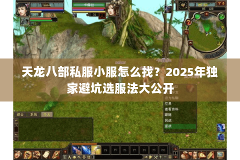 天龙八部私服小服怎么找?2025年独家避坑选服法大公开 天龙八部私服小服怎么找?2025年独家避坑选服法大公开
