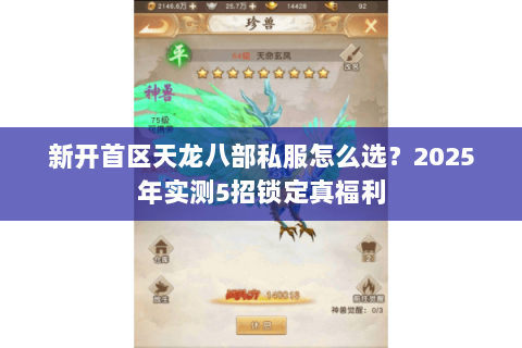 新开首区天龙八部私服怎么选?2025年实测5招锁定真福利 新开首区天龙八部私服怎么选?2025年实测5招锁定真福利