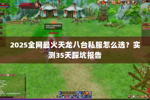 2025全网最火天龙八台私服怎么选?实测35天踩坑报告 2025全网最火天龙八台私服怎么选?实测35天踩坑报告