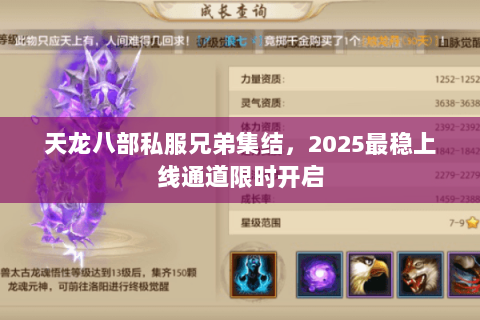 天龙八部私服兄弟集结，2025最稳上线通道限时开启