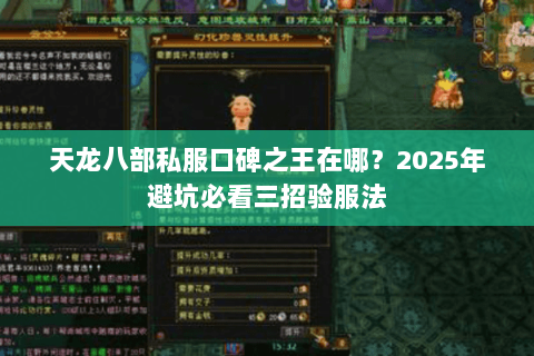 天龙八部私服口碑之王在哪?2025年避坑必看三招验服法 天龙八部私服口碑之王在哪?2025年避坑必看三招验服法