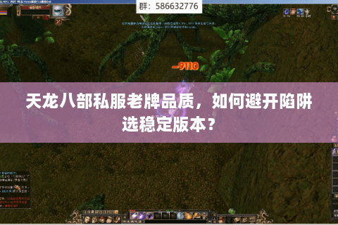 天龙八部私服老牌品质，如何避开陷阱选稳定版本？