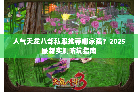 人气天龙八部私服推荐哪家强?2025最新实测防坑指南 人气天龙八部私服推荐哪家强?2025最新实测防坑指南