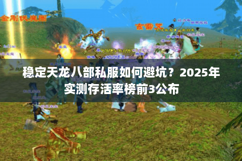 稳定天龙八部私服如何避坑？2025年实测存活率榜前3公布