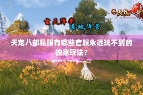 天龙八部私服有哪些官服永远玩不到的独家玩法? 天龙八部私服有哪些官服永远玩不到的独家玩法?